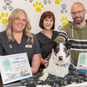 Ned with his bravery certificate and Jenny Glass, left, vet Paulina Cudzilo, centre, and owner Marcus Klemm