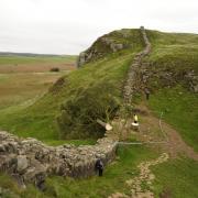 Hadrian's Wall is 73 miles.