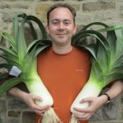James Little with a stand of leeks measuring 134.15 cu ins