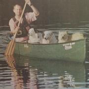 Training for the sponsored doggy paddle down the North Tyne. John Matthews, Tonka, Lady and Nipper on Kielder Water