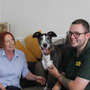 Badger Adoption Day in new home - Dogs Trust Darlington- Jacqui, Badger & Jacob Sahadeo