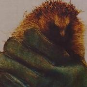 The hedgehog which was set alight in 1998 and could never return to the wild