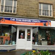 New Oak Tree Animals' Charity shop to open in Ponteland
