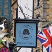 Best dog-friendly pubs in and near Hexham according to Google reviews