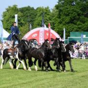 Northumberland County Show becoming more accessible