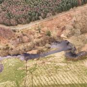 The area where the beavers live in Northumberland in March 2024, showing the difference the animals have made on the land since they were reintroduced in 2023