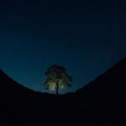 Sycamore Gap in Northumberland National Park, which is a Dark Sky Park