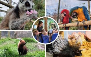 'We're over the moon' - Zoo named as one of best in UK