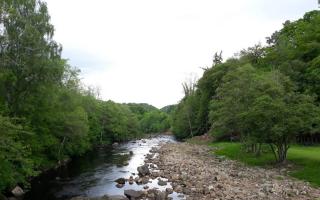 Allen Banks and Staward Gorge walking site has been forced to close