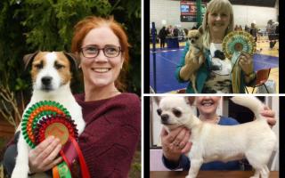 Some of the Hexham & District competitors to go to Crufts this year